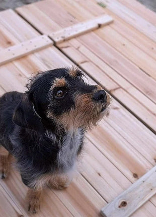 Veliki dečiji pesčanik sa klupama i preklopnim poklopcem KINDER HOME  drveni